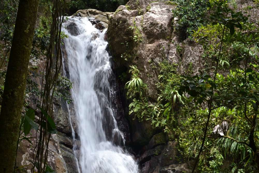 El Yunque National Forest, PR