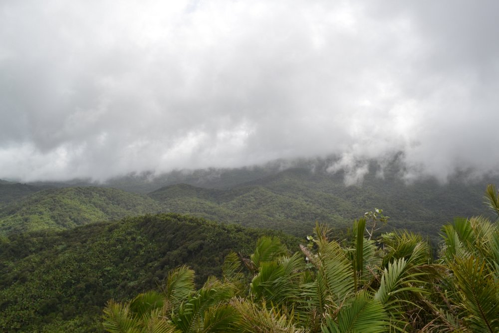 El Yunque National Forest, PR