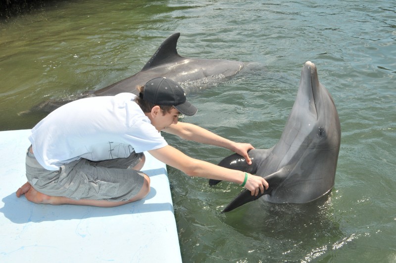 Dolphin Research Center • Marathon, FL.