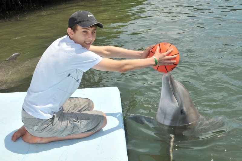 Dolphin Research Center • Marathon, FL.