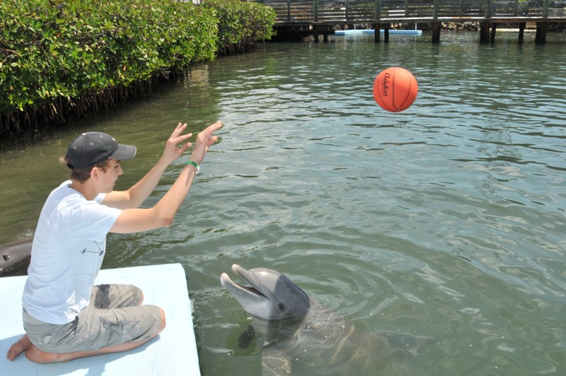 Dolphin Research Center • Marathon, FL.