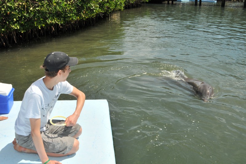 Dolphin Research Center • Marathon, FL.