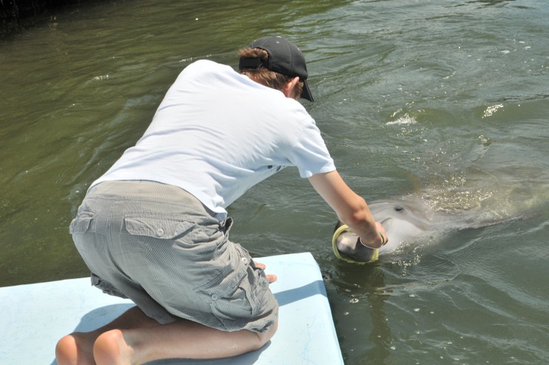 Dolphin Research Center • Marathon, FL.