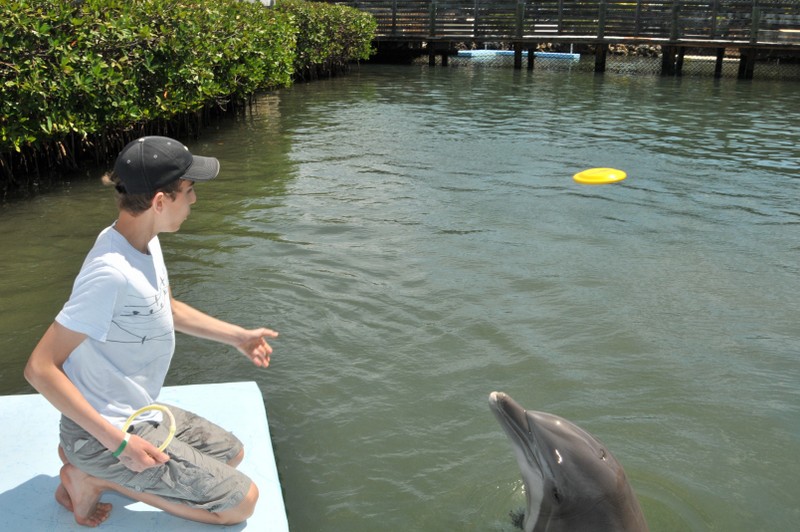 Dolphin Research Center • Marathon, FL.