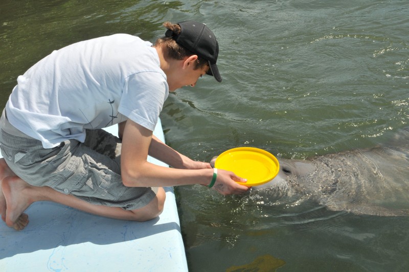 Dolphin Research Center • Marathon, FL.