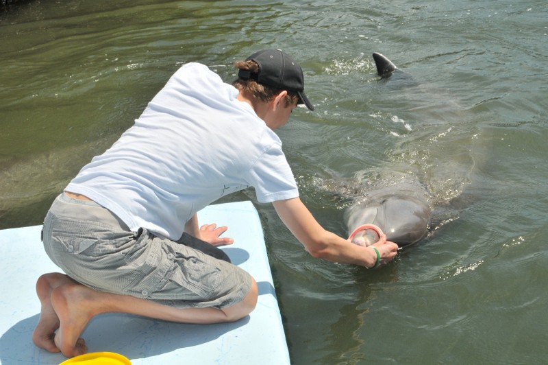 Dolphin Research Center • Marathon, FL.