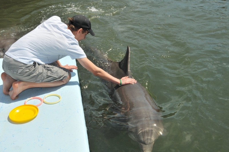 Dolphin Research Center • Marathon, FL.