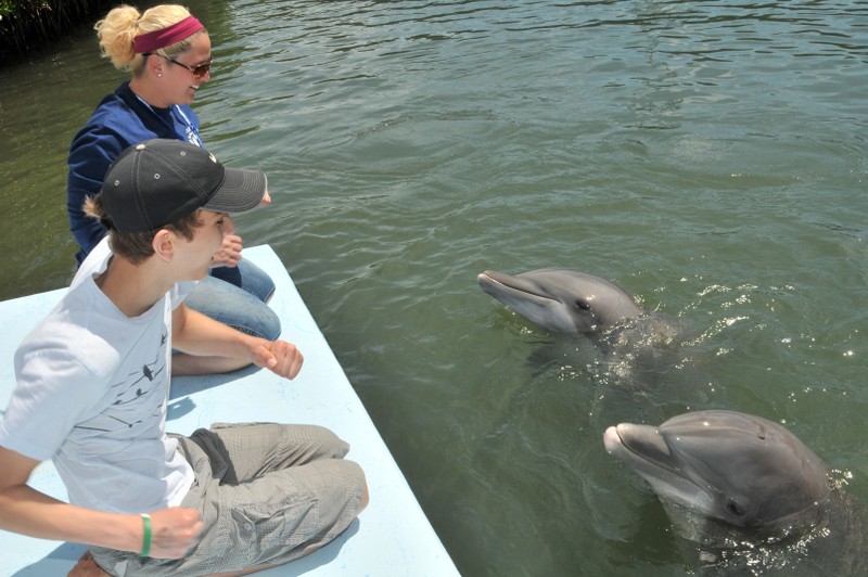 Dolphin Research Center • Marathon, FL.