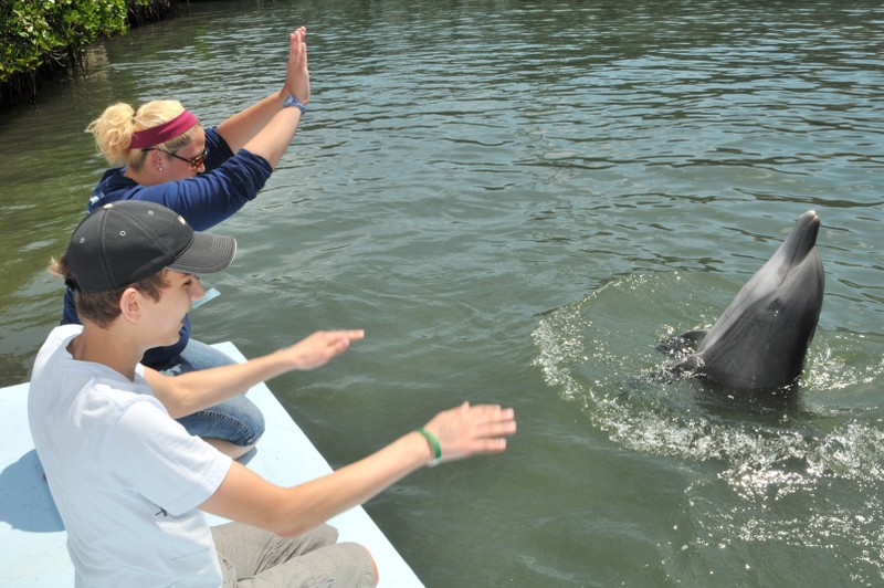 Dolphin Research Center • Marathon, FL.