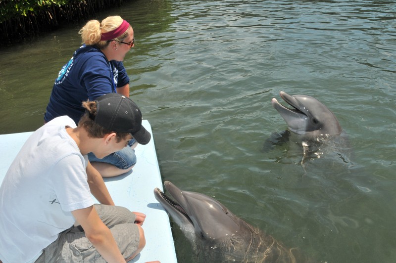 Dolphin Research Center • Marathon, FL.