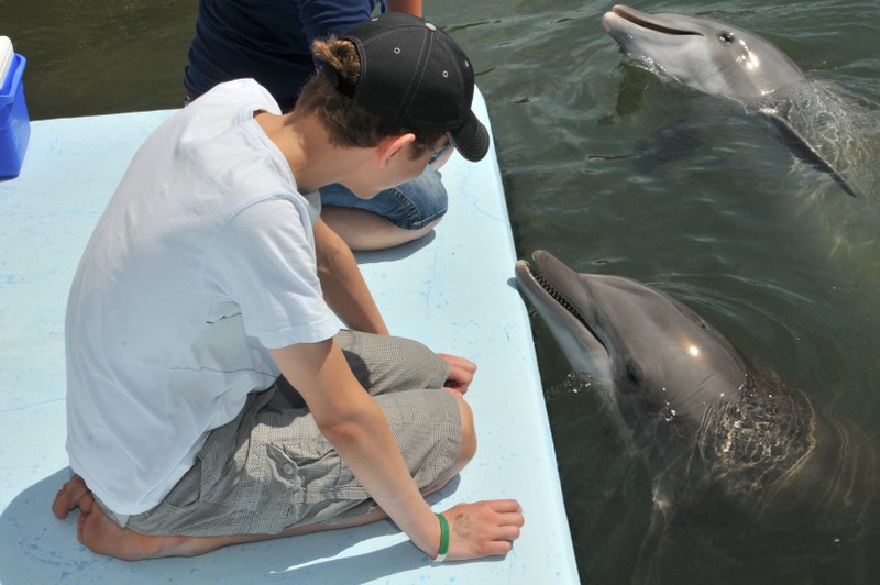 Dolphin Research Center • Marathon, FL.