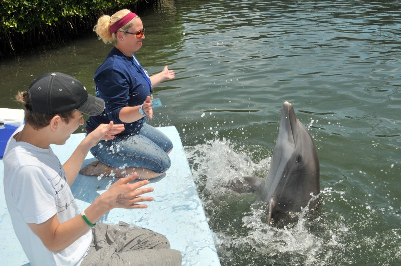 Dolphin Research Center • Marathon, FL.