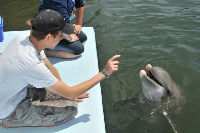 Dolphin Research Center • Marathon, FL.