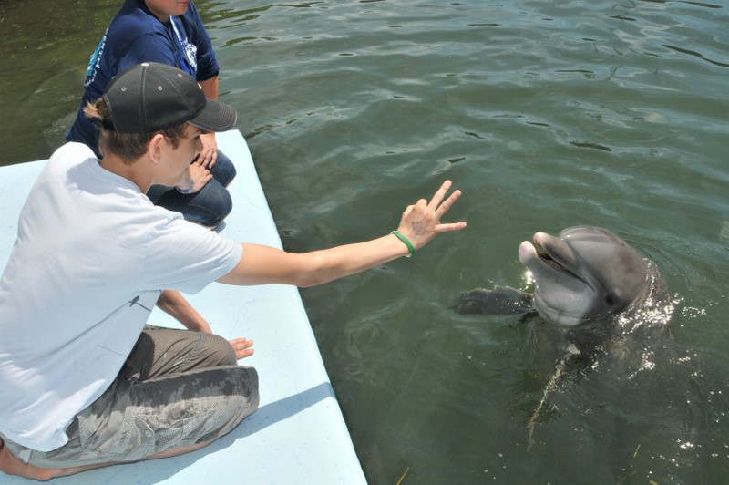 Dolphin Research Center • Marathon, FL.