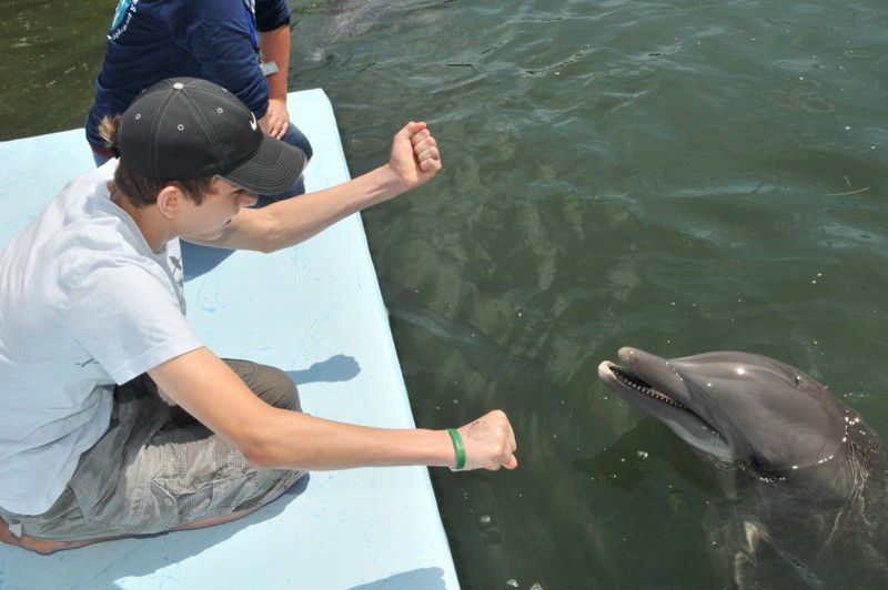 Dolphin Research Center • Marathon, FL.