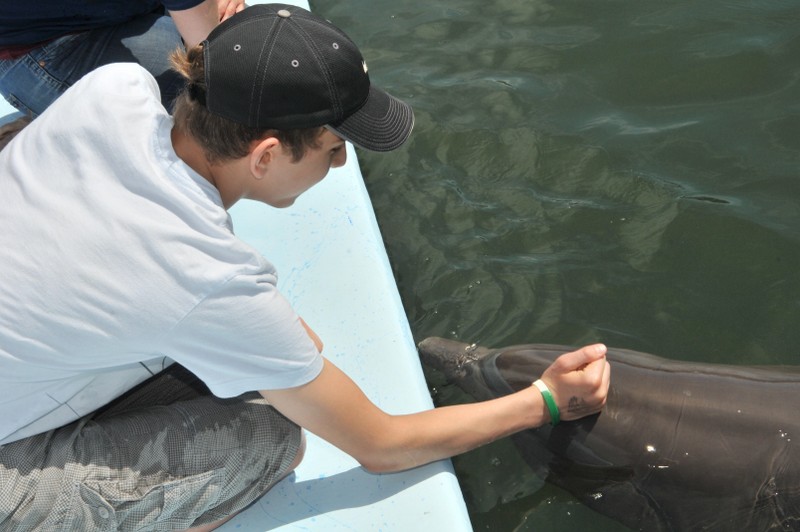 Dolphin Research Center • Marathon, FL.