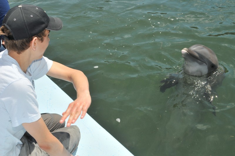 Dolphin Research Center • Marathon, FL.