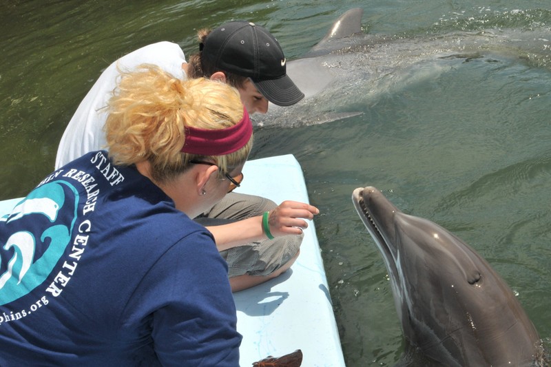 Dolphin Research Center • Marathon, FL.