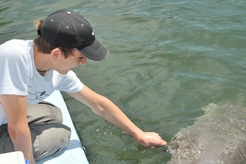 Dolphin Research Center • Marathon, FL.