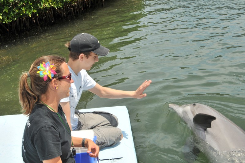 Dolphin Research Center • Marathon, FL.