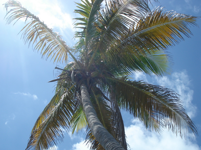 Bahia Honda State Park.