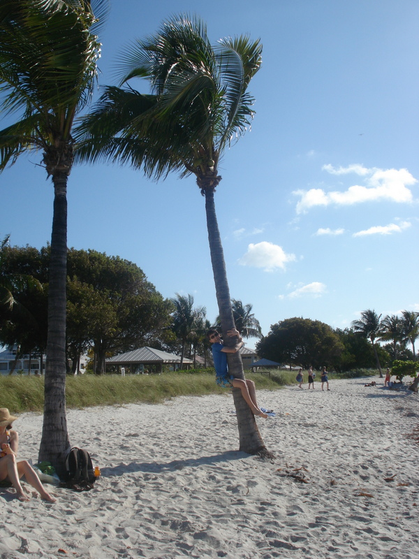 Sombrero Beach • Marathon, FL.