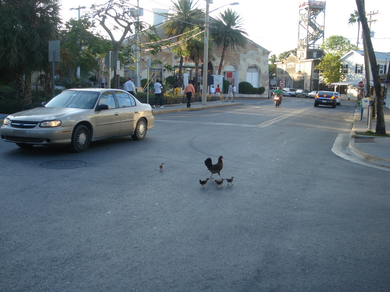 Key West, FL.