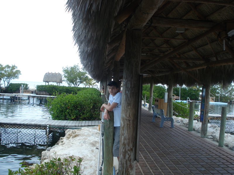 Dolphin Research Center • Marathon, FL.