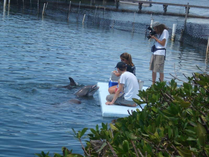 Dolphin Research Center • Marathon, FL.