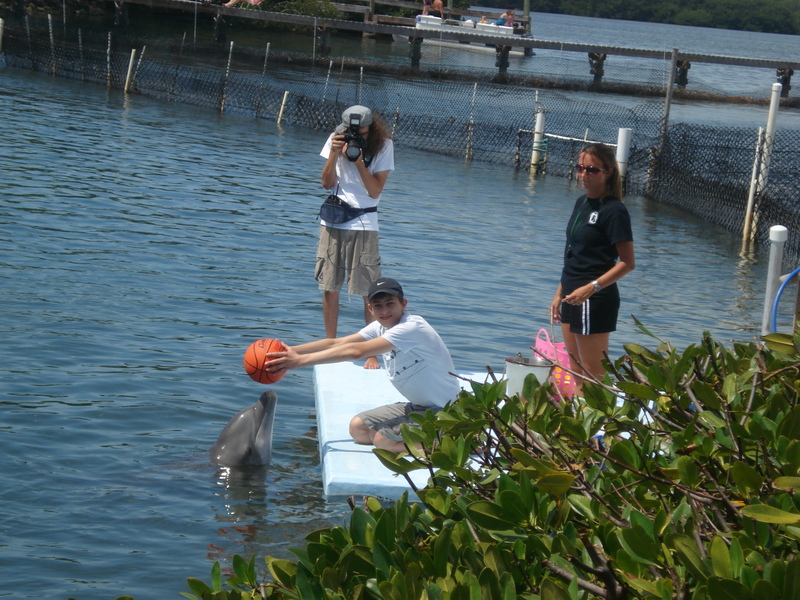 Dolphin Research Center • Marathon, FL.