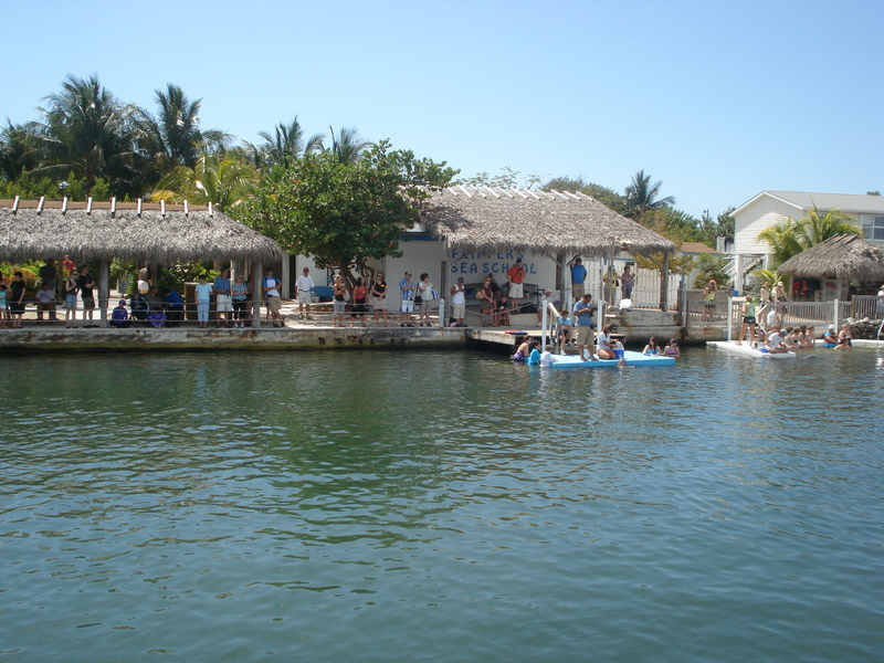 Dolphin Research Center • Marathon, FL.