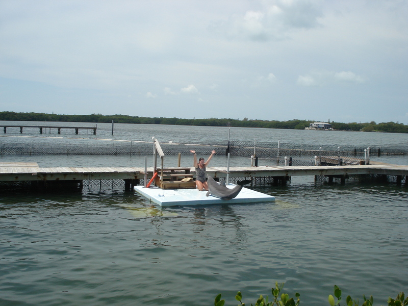 Dolphin Research Center • Marathon, FL.