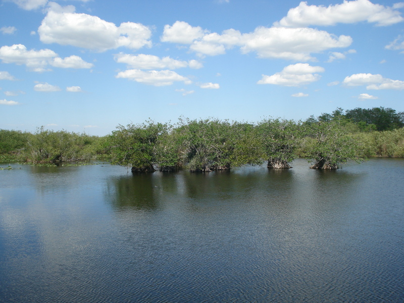 Everglades State Park.