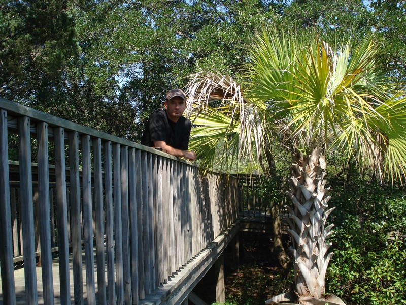 Huntington Beach State Park, SC